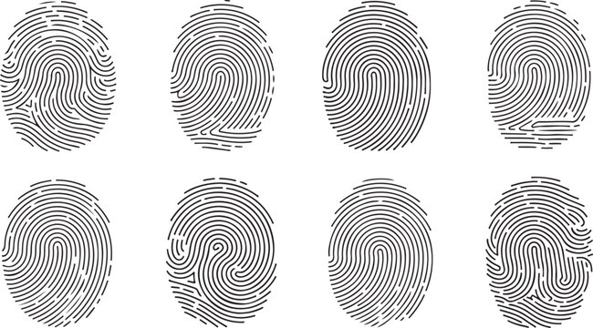 Set of fingerprint icons, collection of different fingerprint patterns, vector illustration of human fingerprints