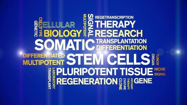 Somatic Stem Cells animated word cloud-text design animation tag kinetic typography seamless loop.