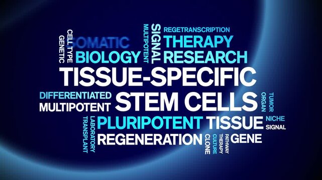 tissue-specific stem cells animated word cloud-text design animation tag kinetic typography seamless loop.