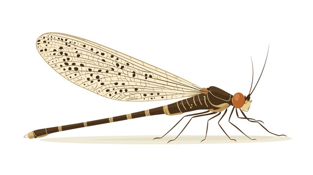 Detailed illustration of a dragonfly with transparent, patterned wings
