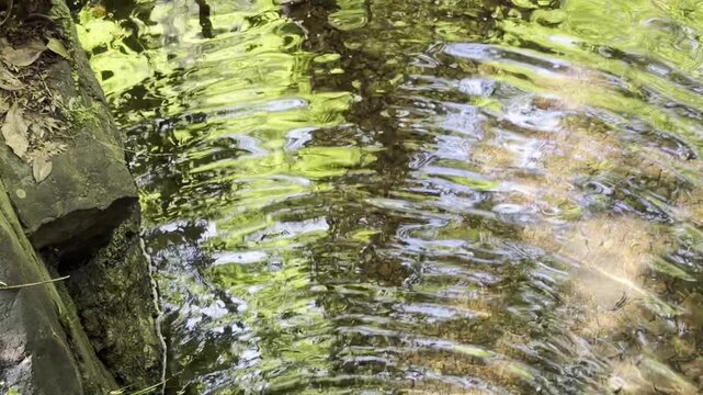 渓谷　透き通った水　清流