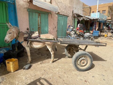 Traditional donkey cart in the town of Atar, Mauritania