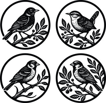 Hand Drawn Songbird Circle Emblem Set Perching On Berried Tree Branch IllustrationHand Drawn Songbird Circle Emblem Set Perching On Berried Tree Branch Illustration