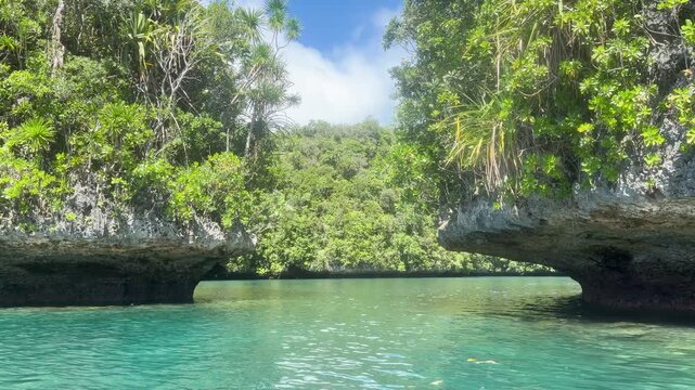 Scenic View of Lush Limestone Cliffs and Turquoise Water in Palau