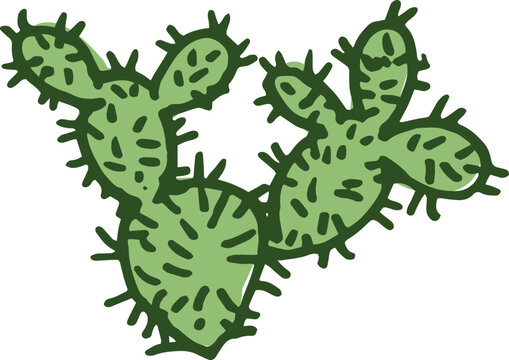 Green Prickly Pear Cactus Illustration
