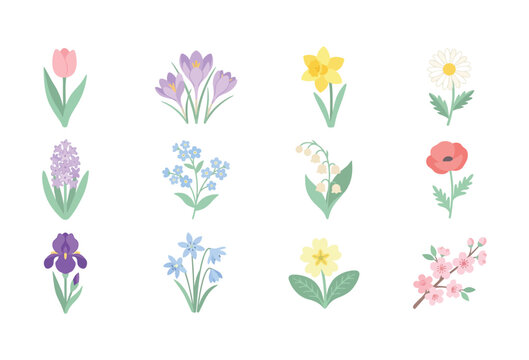 Colorful collection of diverse spring flowers including tulips daffodils daisies and poppies displayed as a professional digital vector illustration set for creative garden design