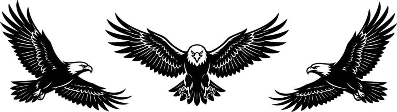 Three Black Silhouette Bald Eagles Flying Spread Wings Majestic American Eagle Set Isolated on White Background for Tattoo Design