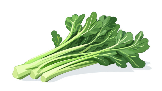 Fresh green leafy vegetable with stalks and ruffled edges