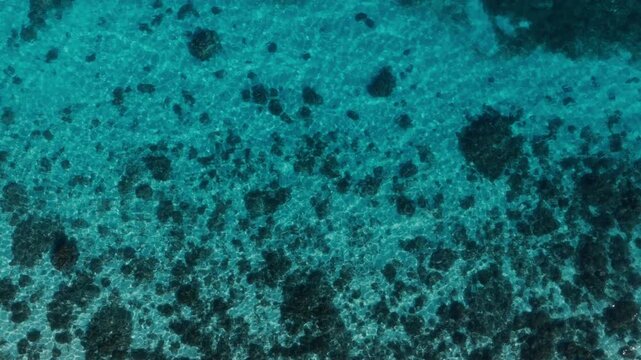 Shallow coral reef patterns in clear tropical water, drone top down backdrop