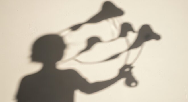 A person creates shadow puppets of birds flying in the air