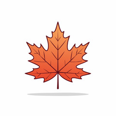 Fototapeta premium Autumn Maple Leaf Illustration