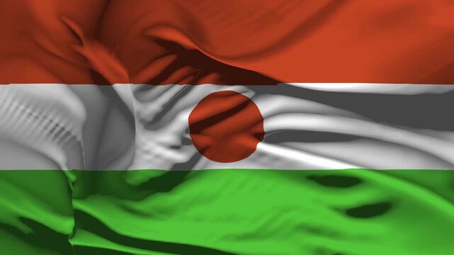 Closeup Niger Flag Wave Loop waving in wind Realistic Niger Flag background