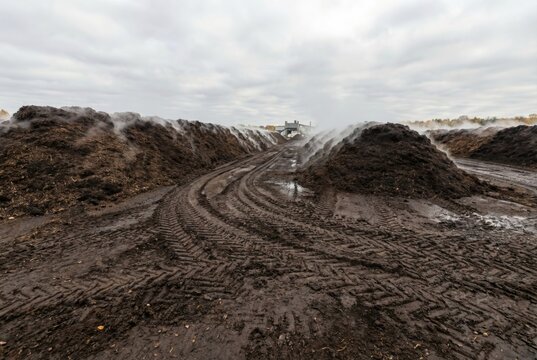 Large scale industrial compost windrows with steam rising from organic matter