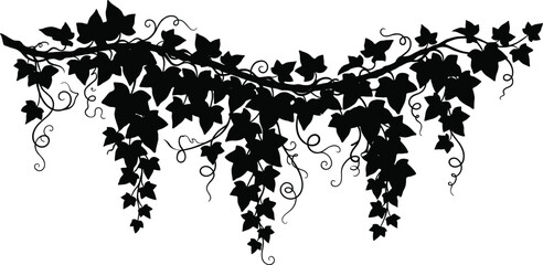 Detailed Illustration of a Climbing Green Vine with Lush Textured Leaves and Twining Tendrils Isolated on White Background © Amatullah Nasrin