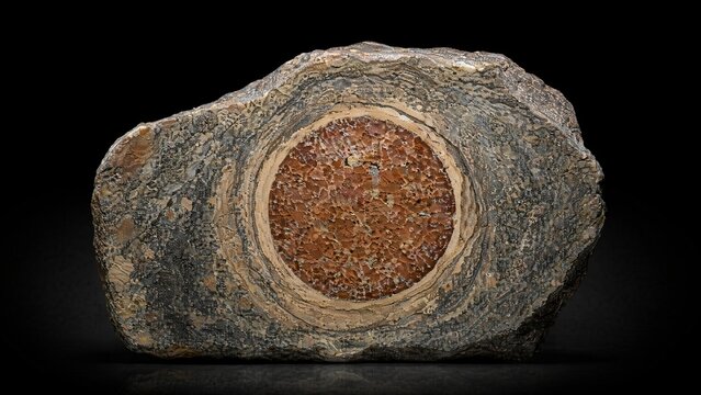 Cross-section of rough stone with a distinct round concretion embedded.