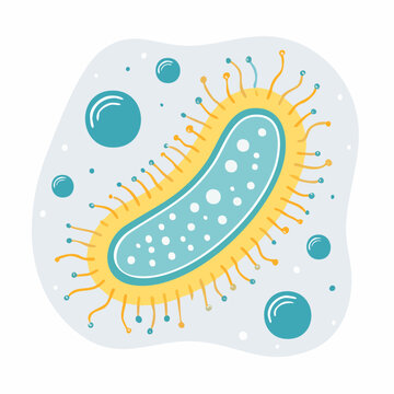 Illustration of a Bacterium with Flagella and Bubbles