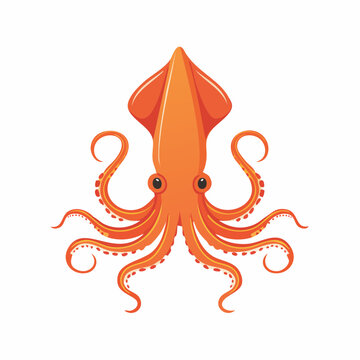 Orange Squid Illustration