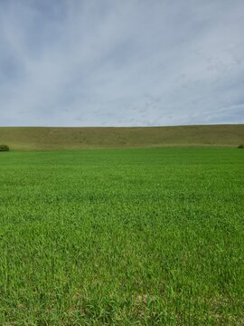Lush green agricultural field under a vast cloudy sky with rolling hills. Minimalist nature background with ample copy space for text.