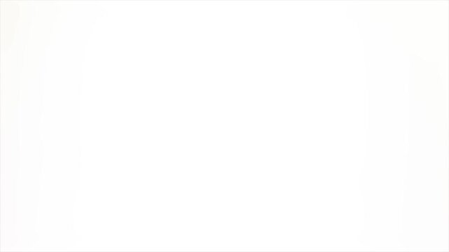 White Screen Flash Transition Animation