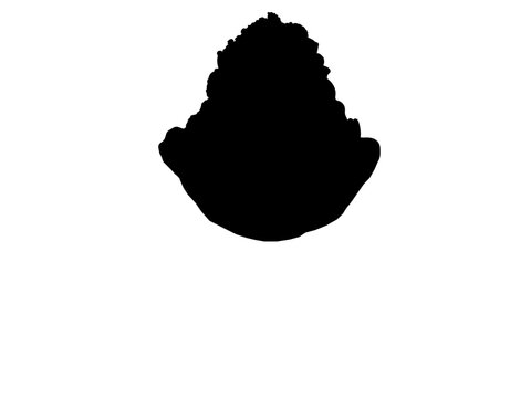 Minimal silhouette vector illustration of Japanese shaved ice