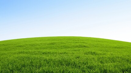 Fototapeta premium Vast Rolling Green Meadow Under a Clear Blue Sky - Perfect for Backgrounds and Nature Concepts