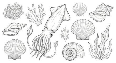 Hand Drawn Marine Life Collection Squid Shells Coral Seaweed. © Dandi