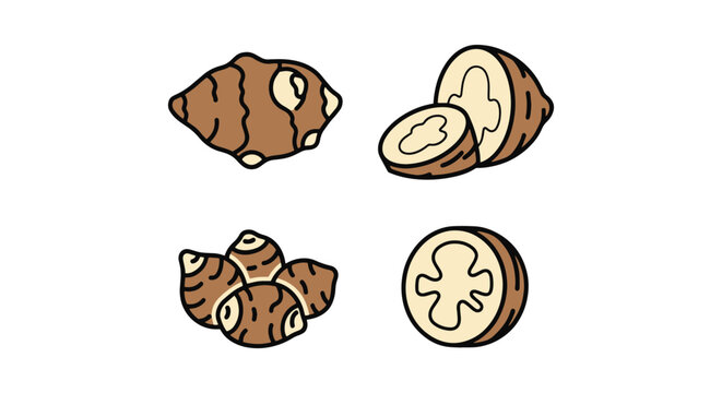 Jerusalem Artichoke Line art creative simple illustration vector