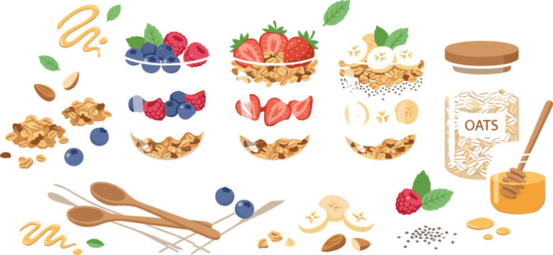 Healthy breakfast granola parfait vector illustration set with layer yogurt glass cups oats berries honey dipper and chia seeds,