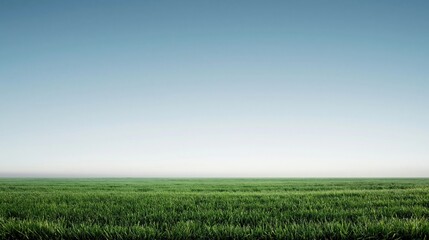 Fototapeta premium Expansive Green Grass Field Under a Clear Blue Sky, Vast Horizon Landscape Scene