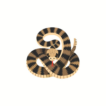 Coiled Rattlesnake Flat Vector Illustration - Minimalist Geometric Art