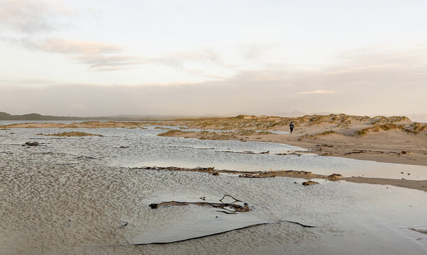 muted sunset light over Grotto lagoon and sand dunes, Hermanus, South Africa