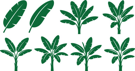 Banana Leaf Tropical Plant Icon Set © Tonmoy Hasan
