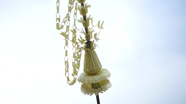 Yellow Palm Leaves Decoration Swaying in the Wind