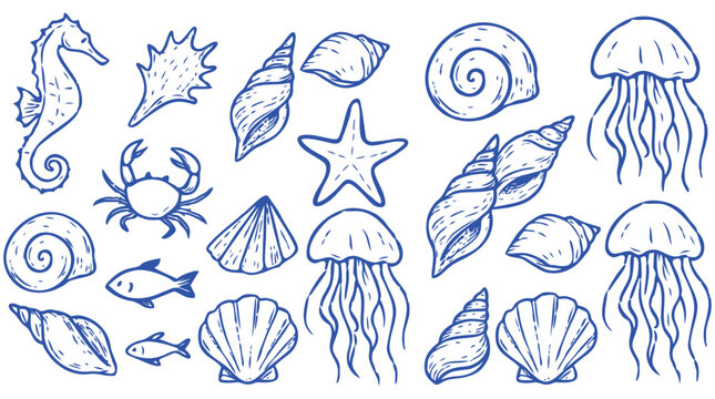 Hand-drawn collection of marine life and seashells in blue ink on a white background, perfect for sea-themed designs and nature illustrations