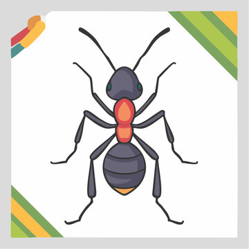 Illustration of an ant