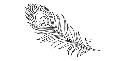 Fototapeta premium Continuous one line drawing of exotic peacock feather. Peacock feather single line vector illustration. Line art peacock feather isolated on white background in minimal pro.