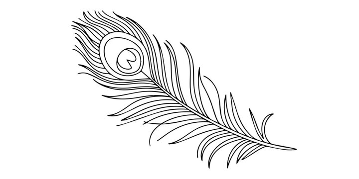 Continuous one line drawing of exotic peacock feather. Peacock feather single line vector illustration. Line art peacock feather isolated on white background in minimal pro.