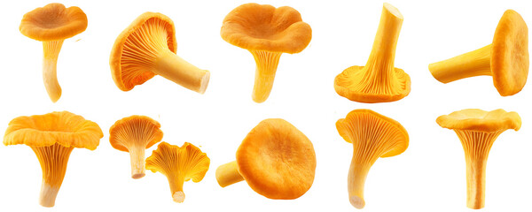 a meticulously arranged grid of fresh golden chanterelle mushrooms, expertly photographed with a clean black backdrop. © Luke
