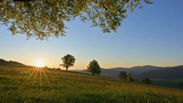 Landschaft im Sonnenaufgang mit Winduchen im Fr&uuml;hling, Freiburg im Breisgau, Schauinsland, Schwarzwald, Baden- W&uuml;rttemberg, Deutschland