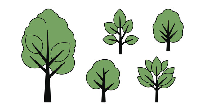 RubberTree Line art vector simple colorful pattern illustration