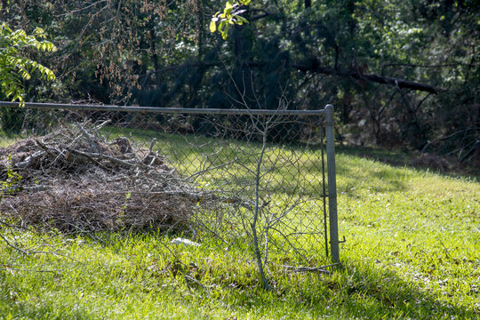 Old chain link fence gate bordering a large brush pile of dry branches in a grassy field. Suburban backyard property landscape featuring an overgrown lawn clearing and a dense green forest background 