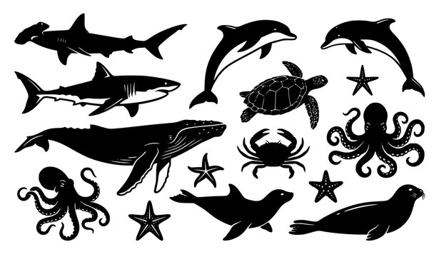 Dynamic surfing silhouette collection with surfboard stances and beach sport vector graphics