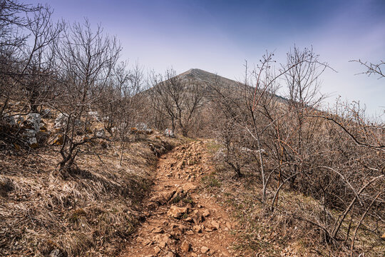 Mount Rtanj pyramid peak in Serbia, showing a hiking trail ascending through barren bushes and low vegetation under a clear sky