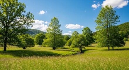 Naklejka premium Green meadow with trees and stream on a sunny day