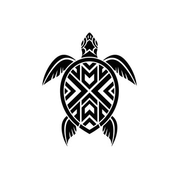 An intricate black and white shell design with symmetrical patterns forming a circular motif