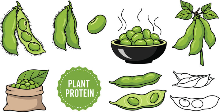 Vector Set of Edamame and Green Soybean Illustrations with Pods, Beans, Bowls, Sacks, and Plant Branches for Plant-Based Protein and Healthy Food Designs