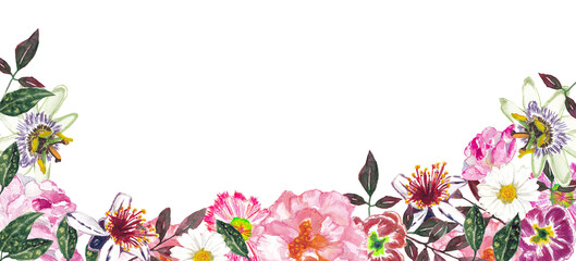 Sfondo con giardino di fiori misti e foglie , illustrazione ad acquerello su sfondo bianco. Composizione di fiori, passiflora, rosa, margherita, feijoa, primule © sommaria