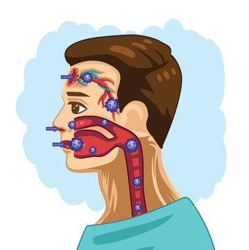 Hantavirus Infection Through Respiratory Tract Cartoon Illustration
