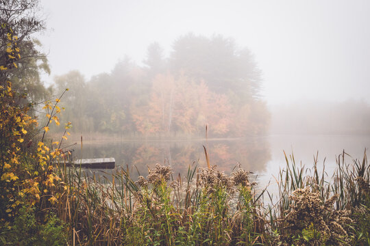 Foggy autumn morning over a tranquil pond with a dock