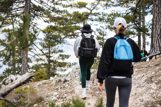Two women hiking with backpaks on a forest trail. Pine trees surround